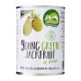 Nature’s Charm Green Jackfruit In Brine 565g