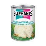 Twin Elephants Green Jackfruit 540g