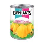 Twin Elephants Jackfruit 565g