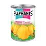 Twin Elephants Jackfruit 565g