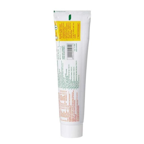 Patanjali Dant Kanti Natural Toothpaste 1