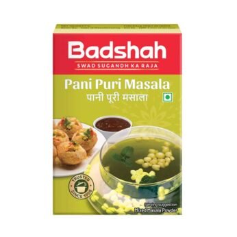 Badshah Pani Puri Masala 100g