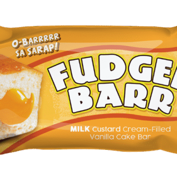 Fudgee Bar Milk Custard 10x41g